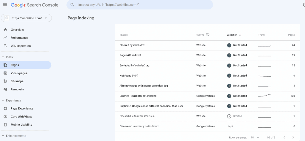 audit website